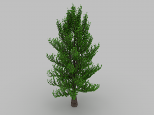 tree 3Dモデル