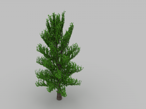 tree Modèle 3D