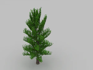 дерево 3D Модель