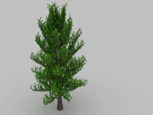 дерево 3D Модель