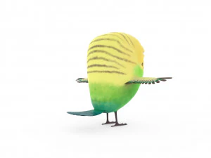 cute parrot little bird 3D Model
