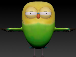 cute parrot little bird 3D Model