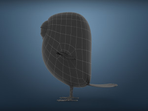 cute parrot little bird 3D Model