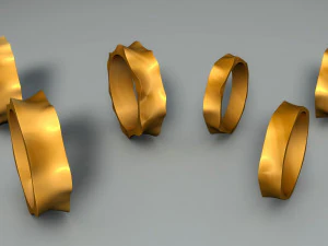 rings set of 2 types - 6 versions 3D Print Model