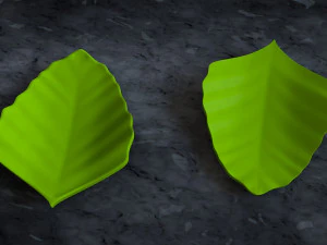 पकवान का पत्ता 3D प्रिंट मॉडल