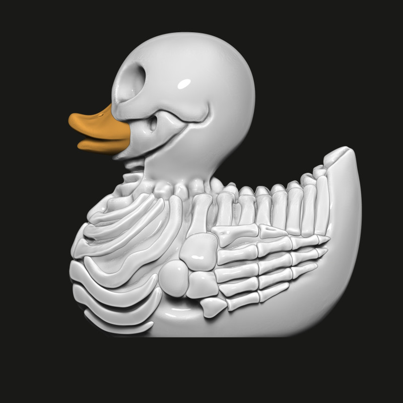 鸭骨架 3D 打印模型 .c4d .max .obj .3ds .fbx .stl .blend 