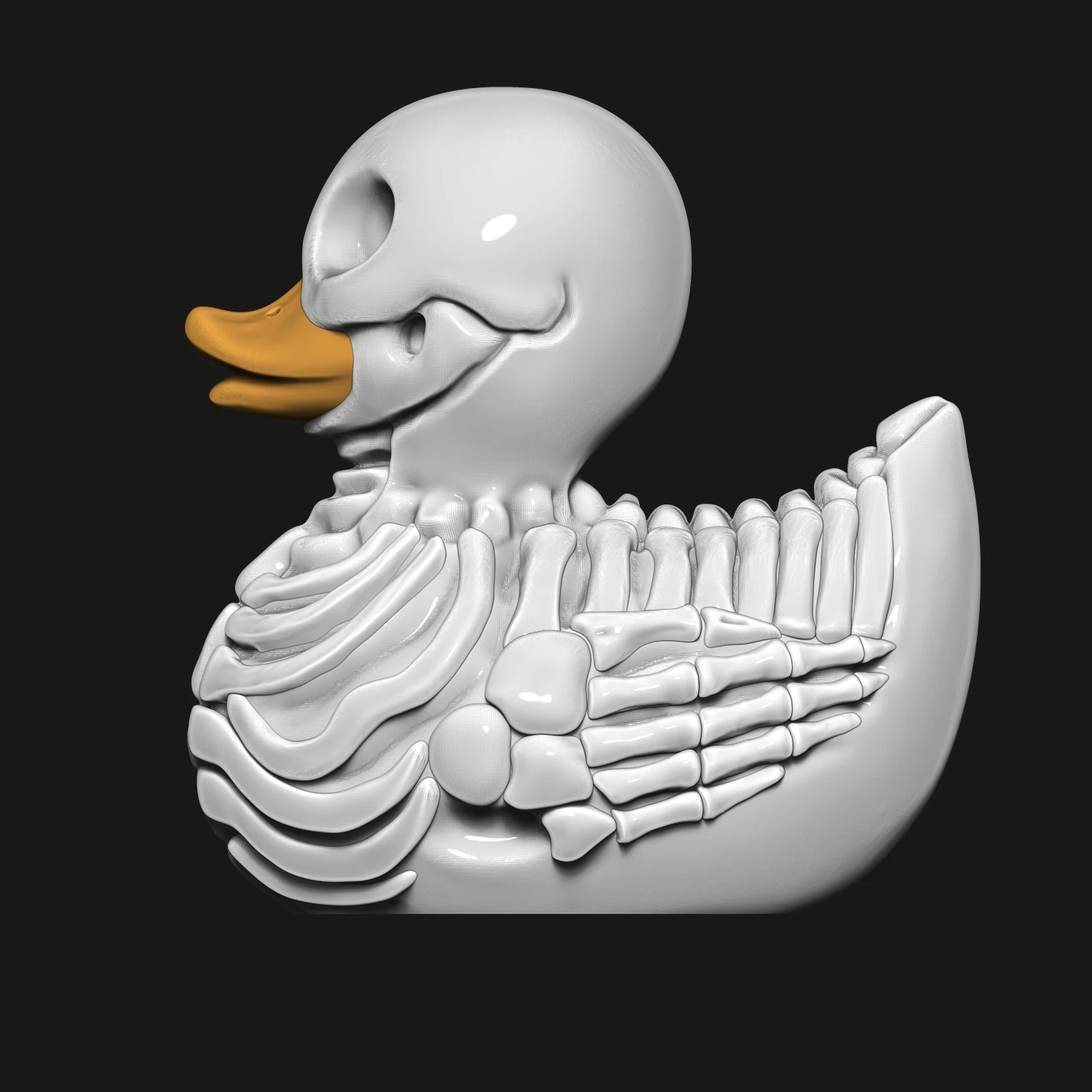 Duck skeleton 3D Print Model .c4d .max .obj .3ds .fbx .stl .blend 
