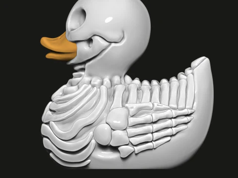 Duck skeleton 3D Print Model