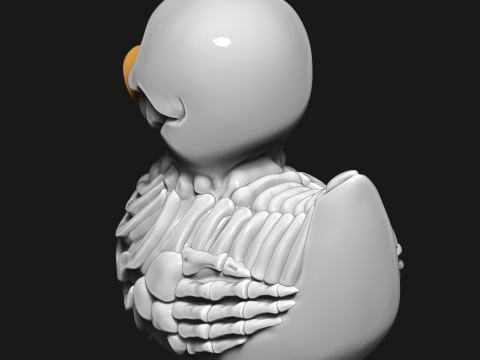 鸭骨架 3D 打印模型