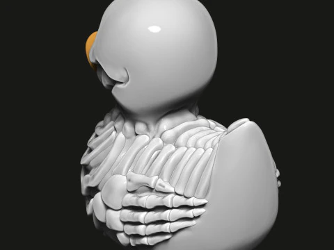 Duck skeleton 3D Print Model