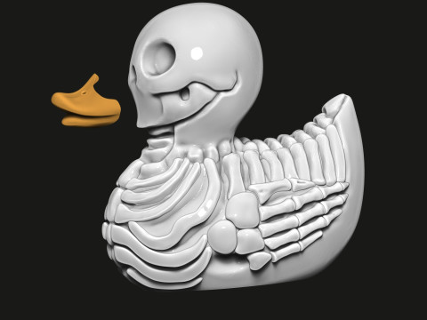 鸭骨架 3D 打印模型