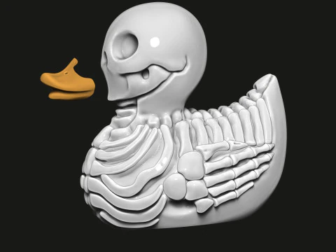 Duck skeleton 3D Print Model