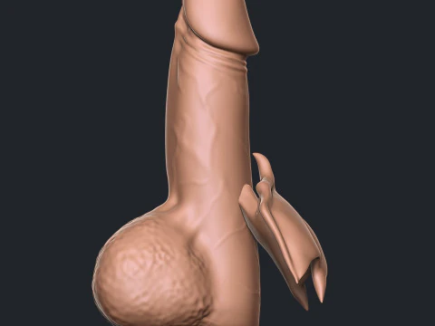 PENIS Dragon 3D Print Model