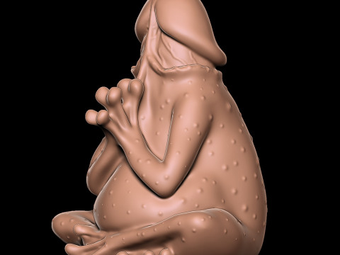 PENIS Żaba Model do druku 3D