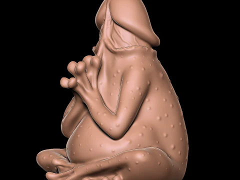 Frog 3D Print Model
