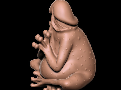 PENIS Żaba Model do druku 3D