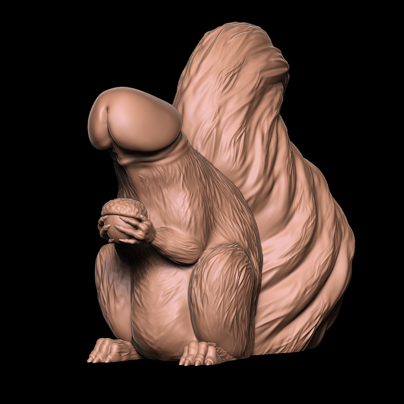 ПЕНИС БЕЛКА 3D Принт Модель .c4d .max .obj .3ds .fbx .stl .blend