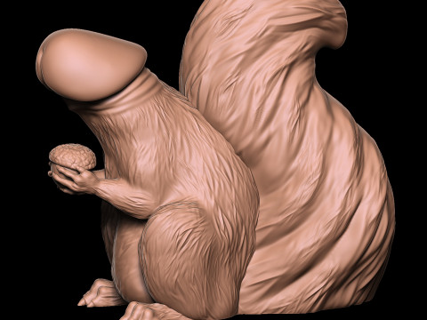 ПЕНИС БЕЛКА 3D Принт Модель