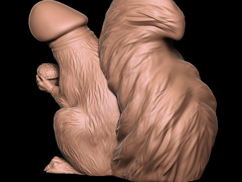 ПЕНИС БЕЛКА 3D Принт Модель