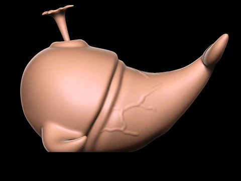 PENIS whale 3D Print Model