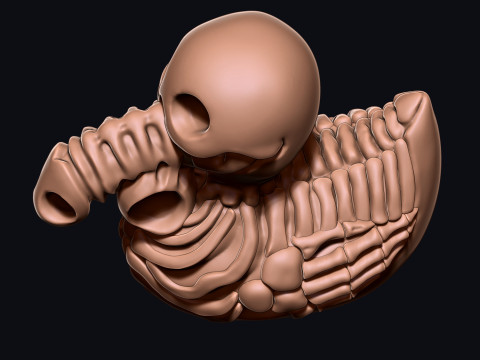 PENIS DUCK 3D Print Model