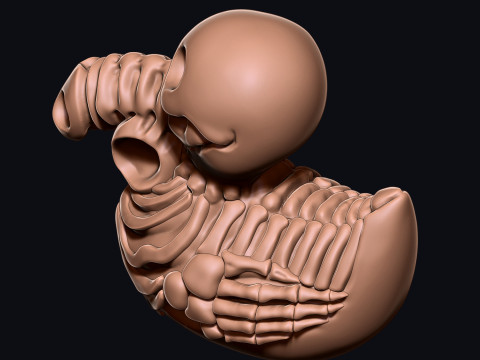 PENIS DUCK 3D Print Model