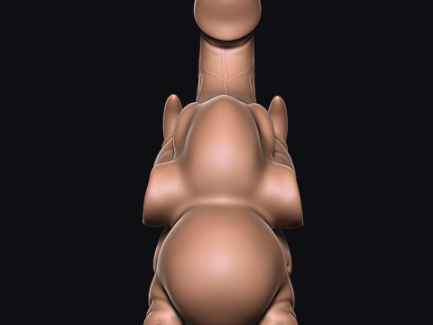 PENIS Elephant 3D Print Model