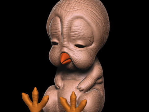 鸭子搞笑 3D 打印模型