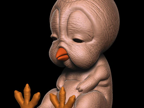 Duck funny 3D Print Model