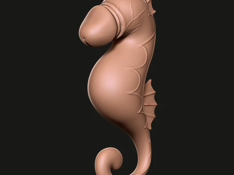 PENIS Sea Horse 3D Print Model