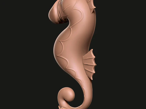 PENIS Sea Horse 3D Print Model