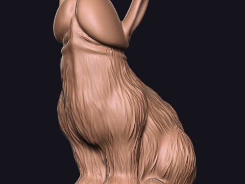 P&Eacute;NIS lapin Modèles 3D en vedette