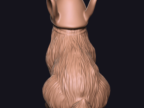 P&Eacute;NIS lapin Modèles 3D en vedette