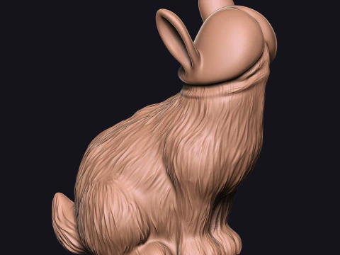 PENIS rabbit 3D Print Model