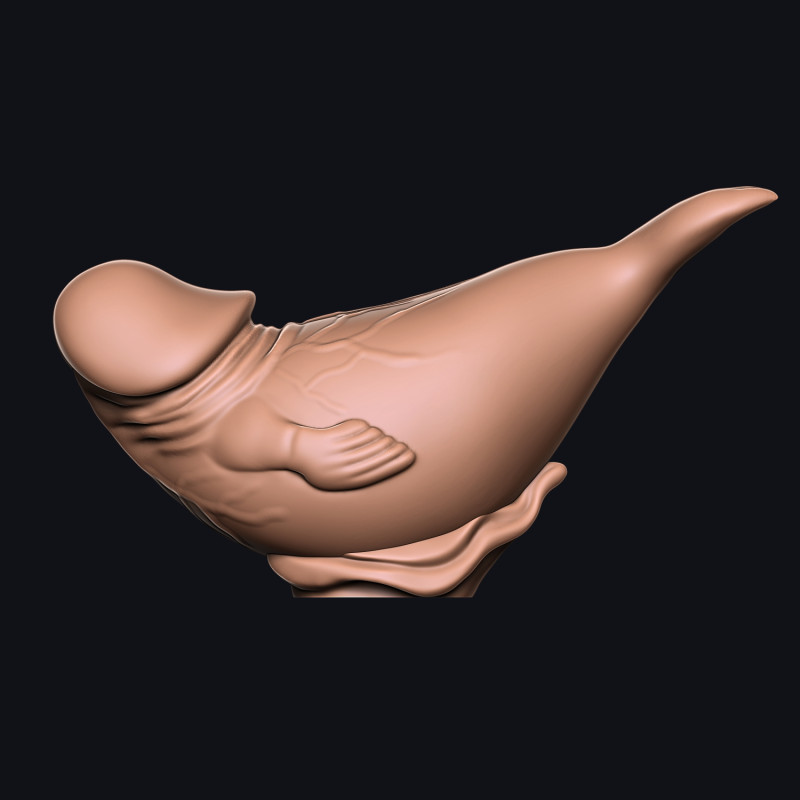 PENIS Seal 3D Print Model .c4d .max .obj .3ds .fbx .stl .blend 