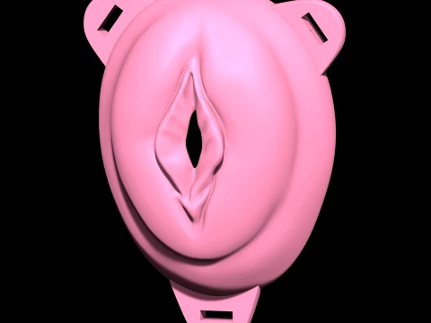 Chastity Cage vagina 3D Print Model