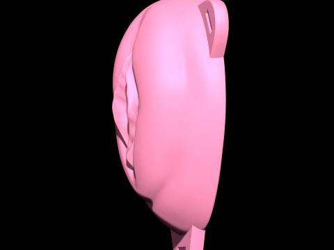 Chastity Cage 3D Print Model