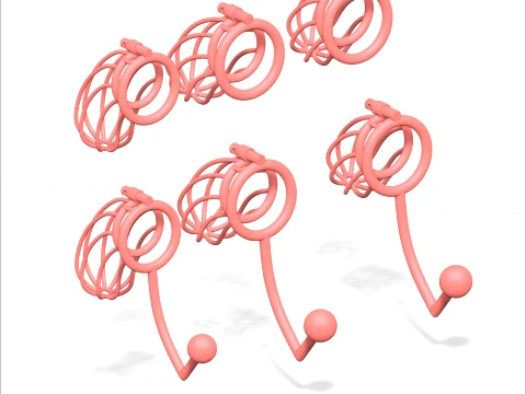 Chastity Cage 3D Print Model