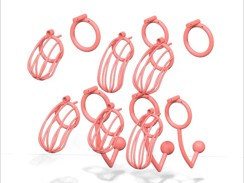 Chastity Cage 3D Print Model