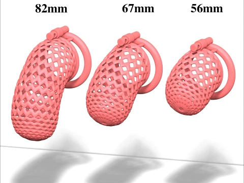 Chastity Cage 6 3D Print Model