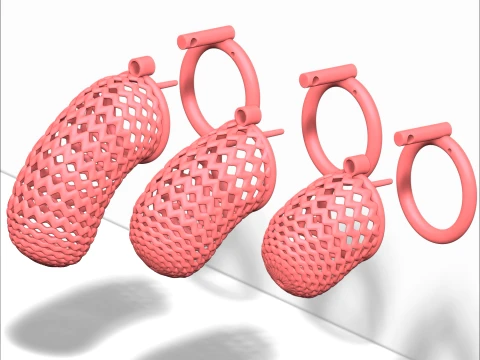 Chastity Cage 6 3D Print Model