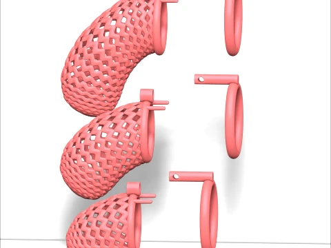 Chastity Cage 6 3D Print Model