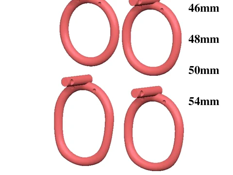 Chastity Cage 6 3D Print Model