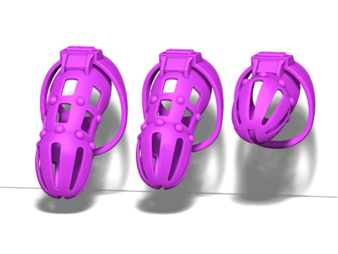 Chastity Cage 5 3D Print Model