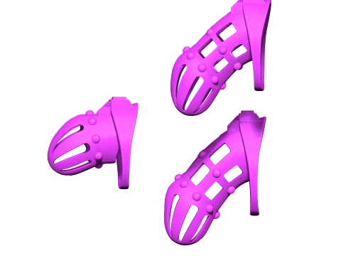 Chastity Cage 5 3D Print Model