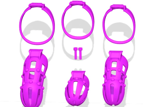 Chastity Cage 5 3D Print Model