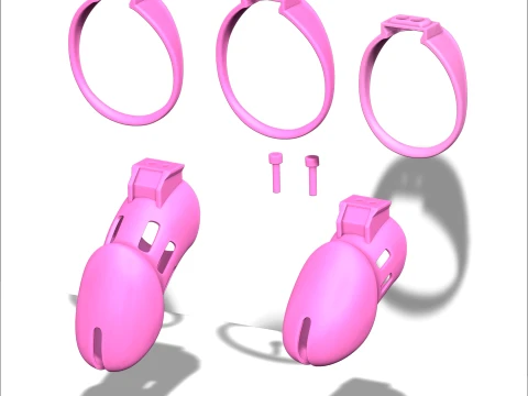 Chastity Cage 3D Print Model