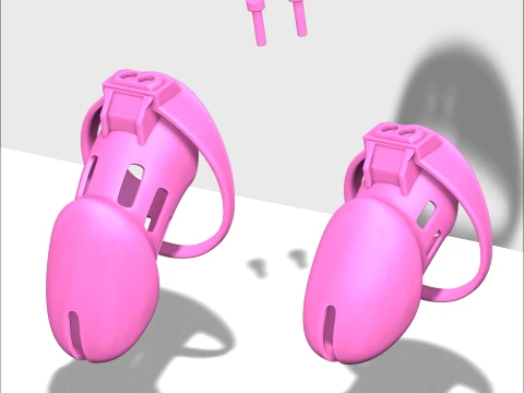 Chastity Cage 3D Print Model