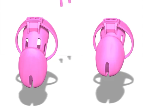 Chastity Cage 3D Print Model