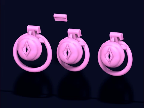 Chastity Cage vagina 3D Print Model
